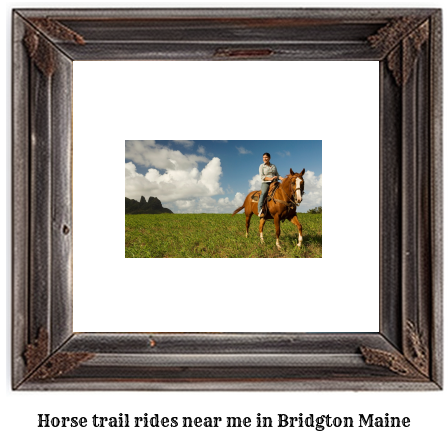 horse trail rides near me in Bridgton, Maine